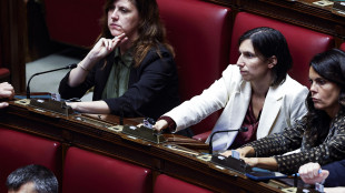 Schlein,Meloni ci dà dei terroristi per distrarre attenzione