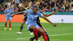 Mondial: Diani-Le Sommer, un duo &agrave; parfaire
