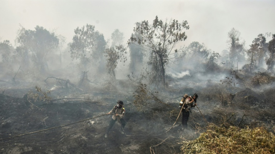 Fire haze threatens health of millions in Indonesia, ministry warns