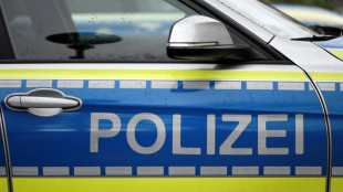 Allemagne: vaste coup de filet contre le "terrorisme d'extrême droite"