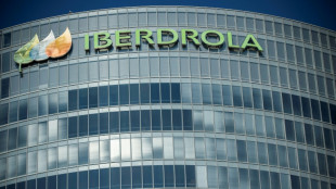 Iberdrola obtuvo beneficios netos r&eacute;cord de 6.290 millones de euros en 2025
