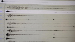 Setenta heridos en Ir&aacute;n tras un terremoto cerca de la frontera turca