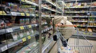 L'&eacute;conomie russe commence &agrave; se fissurer sous le poids des sanctions