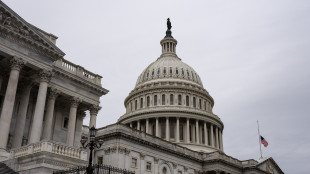 Senato Usa approva la legge per divulgare i file Epstein