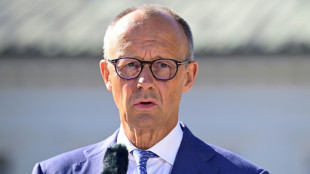 Germany's Merz addresses critics with climate action pledge