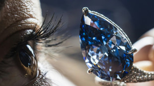 Un diamante azul vivo vendido en más de 25 millones de dólares en Ginebra