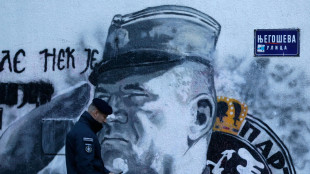 Rammarico Belgrado per mancata scarcerazione di Mladic, malato terminale