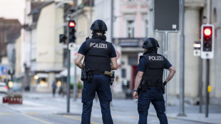Sparatoria durante un rave in Svizzera, 'un morto e 5 feriti'
