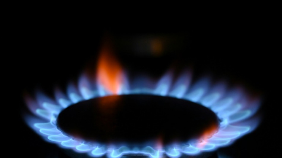 EU-Kommission will gemeinsame Gask&auml;ufe der Mitgliedstaaten gegen hohe Energiepreise 