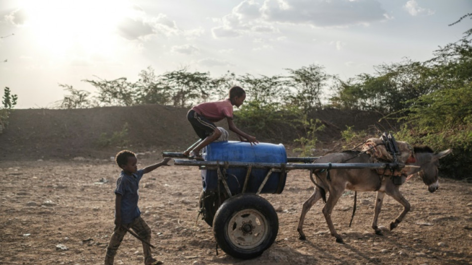 244 millions d'enfants ne vont toujours pas &agrave; l'&eacute;cole dans le monde