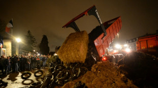 Manifestation d'agriculteurs au Mans pour r&eacute;clamer de meilleurs prix 
