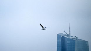 La IA todav&iacute;a no elimina masivamente empleos en Europa, seg&uacute;n economistas del BCE