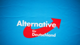 Umfrage: Nur noch jeder Zweite will niemals AfD w&auml;hlen