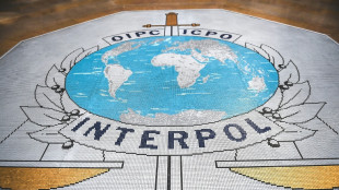 Interpol identifica a "la mujer de rosa", hallada muerta en España hace 20 años