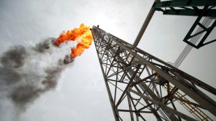 P&eacute;trole: l'Opep+ sous pression mais pas de changement en vue