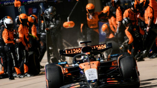 Frustrated Piastri calls for calm review