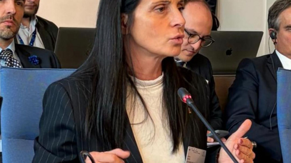 Gava al Consiglio d'Europa, 'sulla Terra dei Fuochi ok del Comitato al nostro piano'