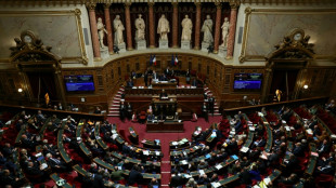 Budget: le S&eacute;nat pose ses exigences, avant une semaine d&eacute;cisive pour le gouvernement