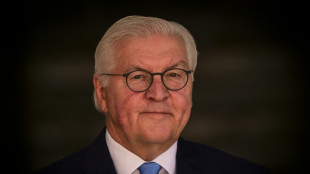 US-Israeli war on Iran is 'breach of international law': German president