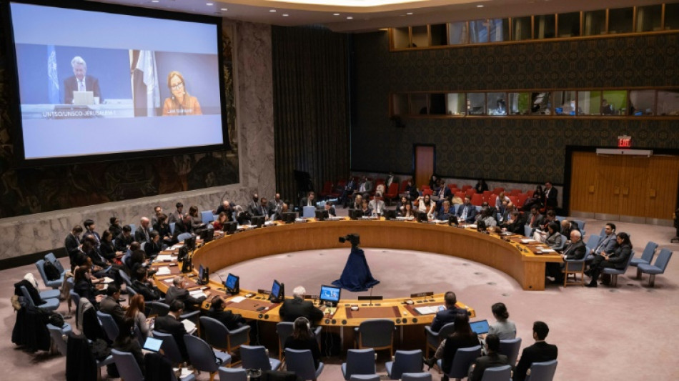 Consejo de Seguridad de la ONU cree que las colonias israel&iacute;es "impiden la paz"