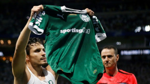 Palmeiras goleia LDU (4-0) e vai enfrentar o Flamengo na final da Libertadores