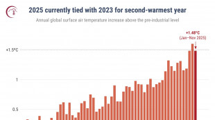 Il 2025 potrà essere il secondo anno più caldo mai registrato