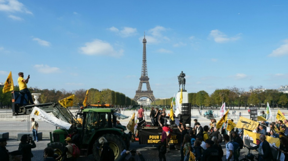 Agricultores protestan en Par&iacute;s contra el acuerdo UE-Mercosur