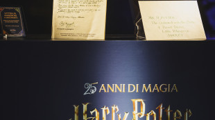 Back to Hogwarts, il mondo di Harry Potter approdato per una sera a Venezia