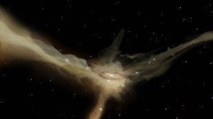 Un lampo cosmico fa luce sull'origine degli elementi pesanti