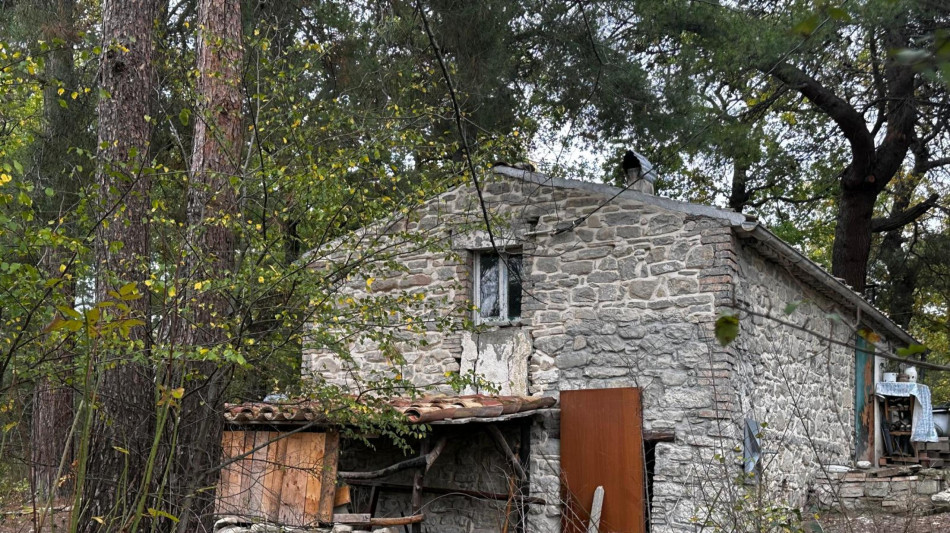 Il Tribunale dei minori, 'sul caso famiglia del bosco toni aggressivi'