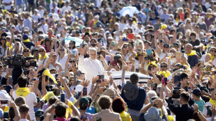 Il Papa ai giovani, "non dobbiamo sciupare la vita"
