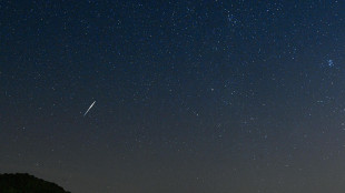 A rischio il cielo pi&ugrave; buio del mondo, l'appello degli astronomi