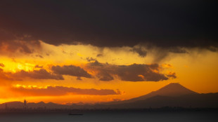 Wegen zu vieler Touristen: Beliebtes Kirschbl&uuml;tenfest am Fuji abgesagt