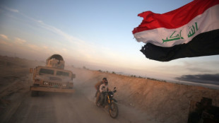 Iraq: from IS gains to the battle for Fallujah