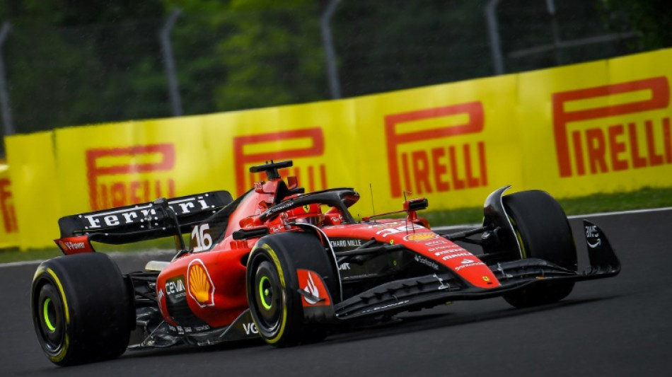 Ferrari's Leclerc tops Hungary practice as Red Bull take it easy