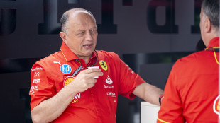 Vasseur "Silverstone premia i migliori, serve massimo impegno"