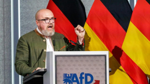 Sachsen-Anhalt: AfD stellt mit Abgeordnetem Tillschneider auch Landtagsvizepr&auml;sidenten