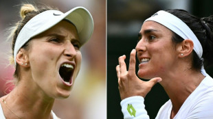 Wimbledon: Jabeur-Vondrousova pour une premi&egrave;re royale