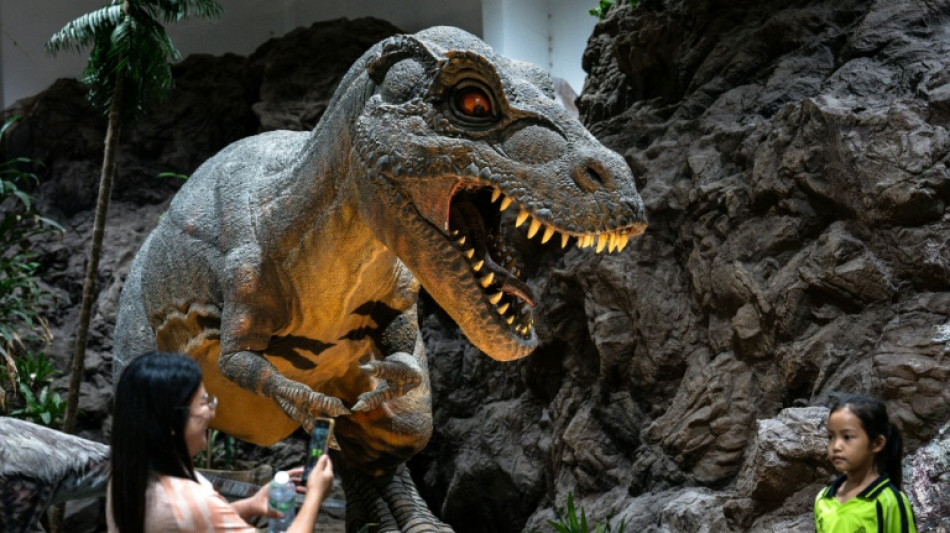 Thailand's 'Jurassic Park' shines light on dinosaur evolution