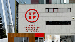 La Federaci&oacute;n Espa&ntilde;ola de F&uacute;tbol elige a Rafael Louz&aacute;n como nuevo presidente