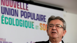 L&eacute;gislatives: Macron continue de pilonner M&eacute;lenchon qui y voit de la "panique"