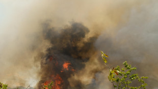 Colombia, oltre 50mila ettari devastati dai roghi, Tolima dichiara l'emergenza