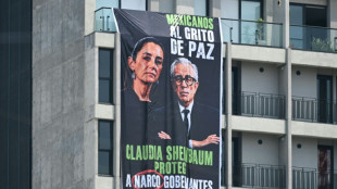 Mexican governor resumes job despite US drug charges