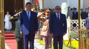 Xi a Sisi, bisogna opporsi alle interferenze esterne in Medio Oriente