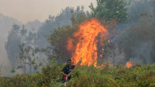 Indon&eacute;sie : pr&egrave;s de deux millions d'hectares br&ucirc;l&eacute;s en 2026 jusqu'en septembre