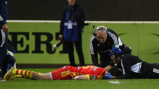 Perpignan's Tedder returns home after Top 14 concussion