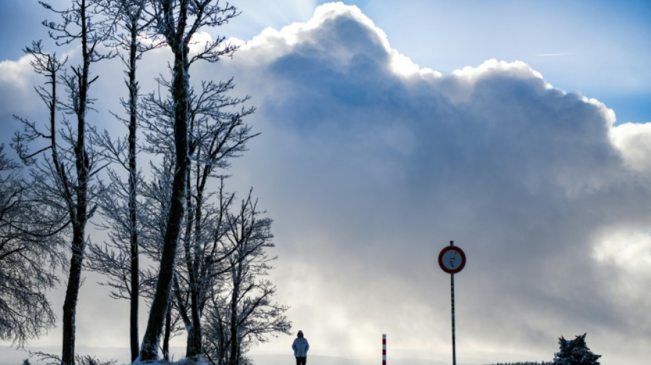 Lemke warnt vor Vernachl&auml;ssigung von Umweltschutz angesichts Ukraine-Krieg