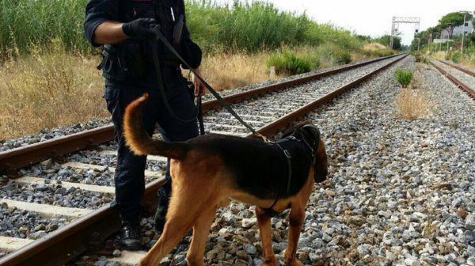 Giovane 18enne trascinata in area verde e abusata nel Milanese