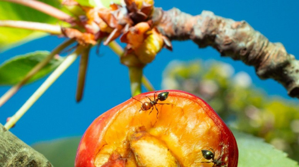 Mecna, 'canto lo spaesamento della mia generazione'