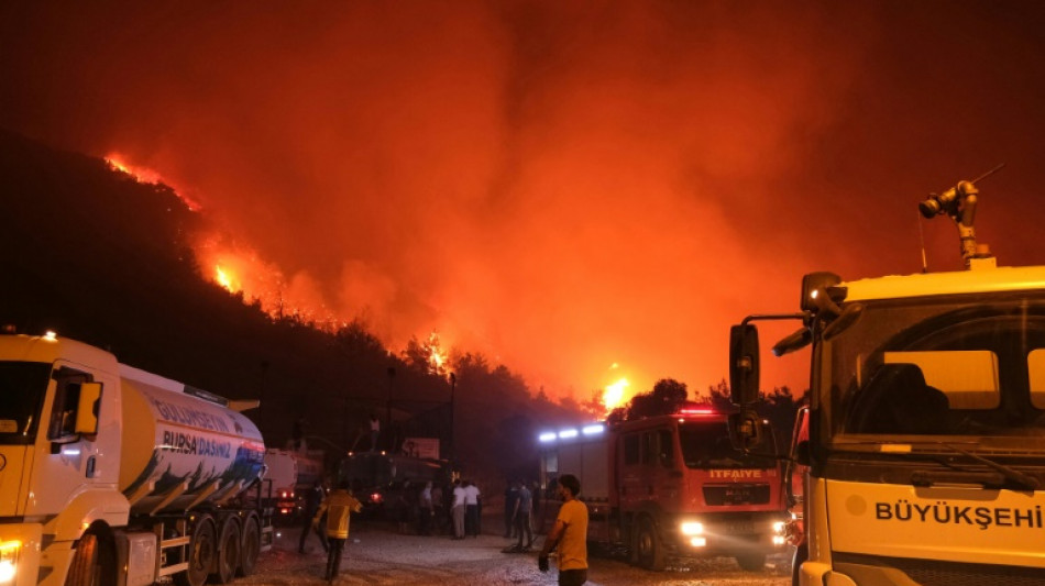 La Turquie suffoque, ses forêts brûlent
